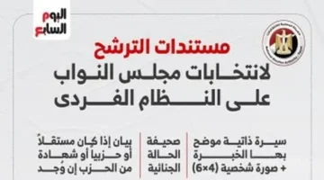 جهز ورقك.. القائمة الكاملة لمستندات الترشح لانتخابات النواب على النظام الفردي 1